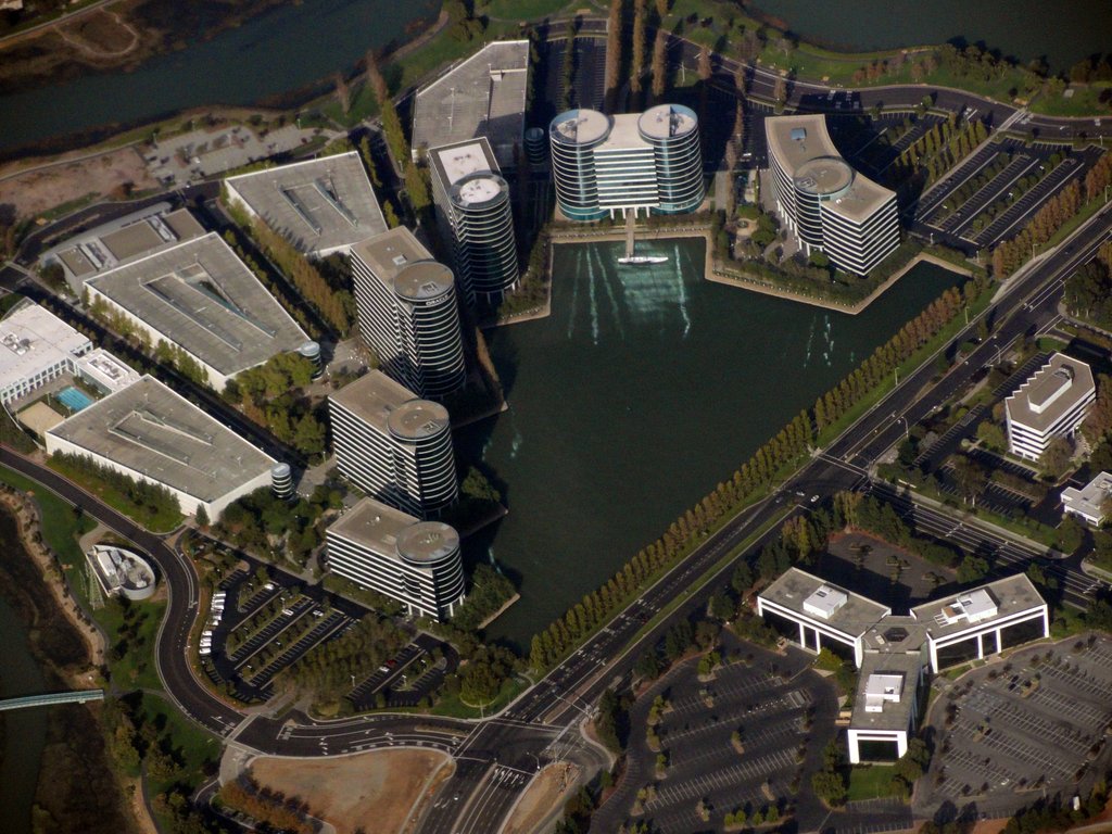 ORACLE CORP