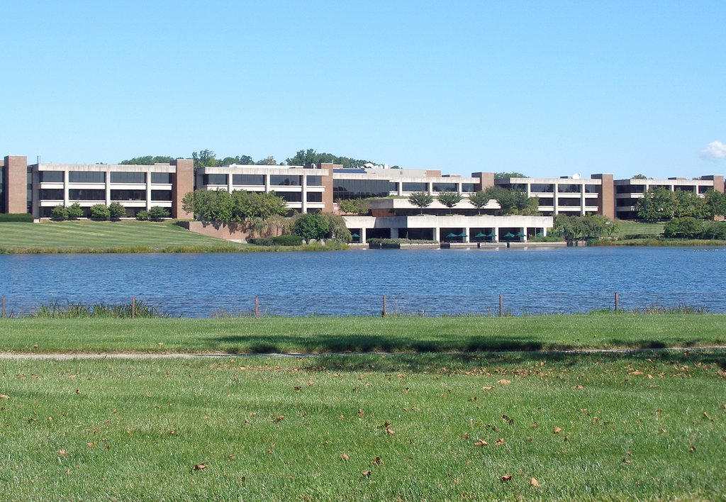 BRISTOL MYERS SQUIBB CO