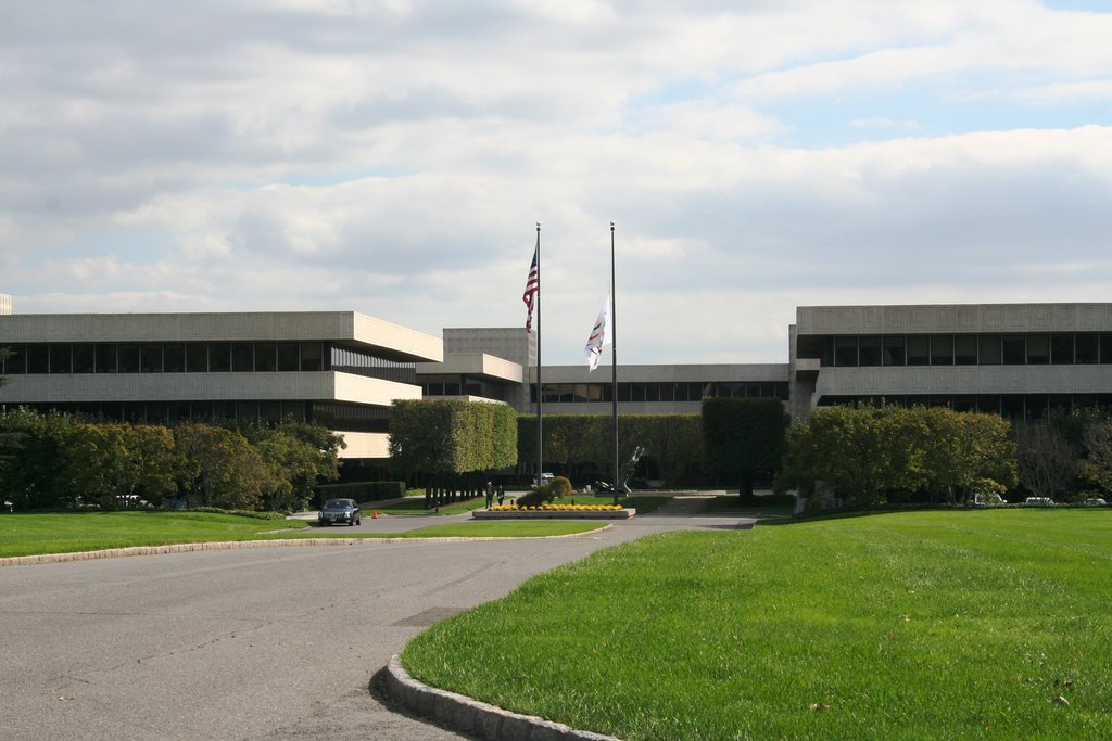 PEPSICO INC