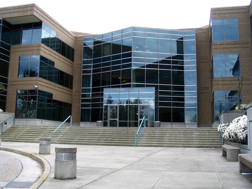 MICROSOFT CORP